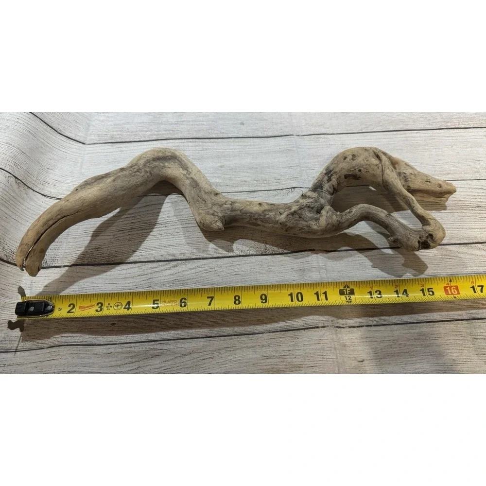 Vtg Piece of Driftwood that looks like a Dinosaur or Snake 17